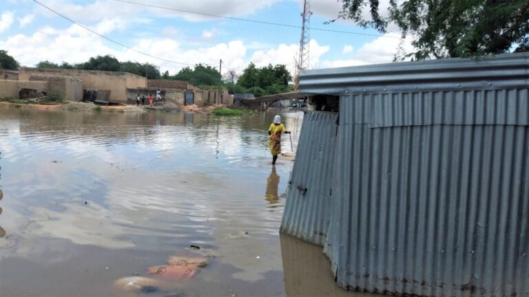 Niger floods claim 27 lives since early June