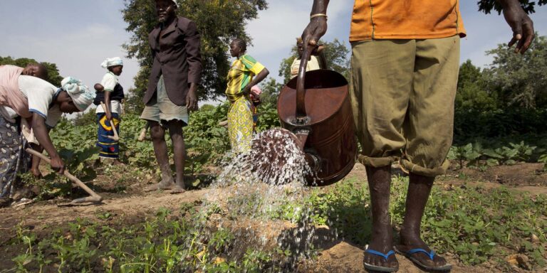 PRAPS-2 project to bolster resilience of livestock farmers and agriculturists in Sahel region