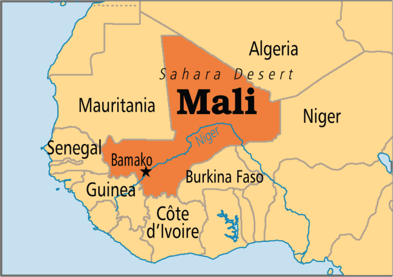 Malaria and war ravage northern Mali's Azawad region