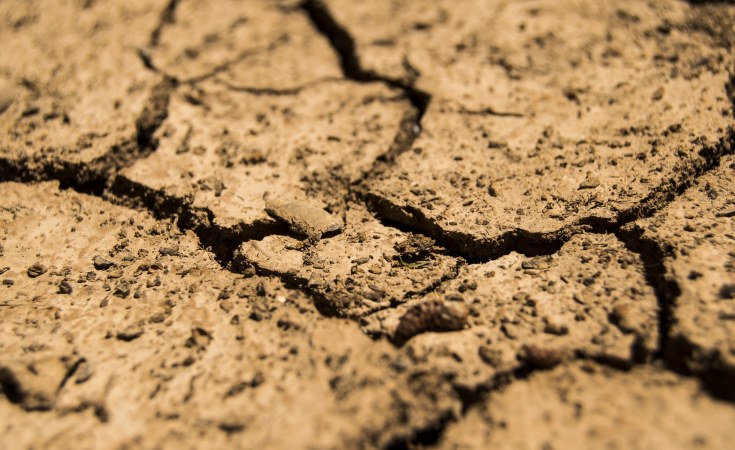 Southern Africa faces worst food crisis in decades due to El Niño, warns UN