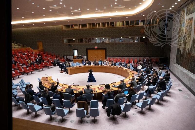 UN security council extends MINUSCA mandate in Central African Republic for another year