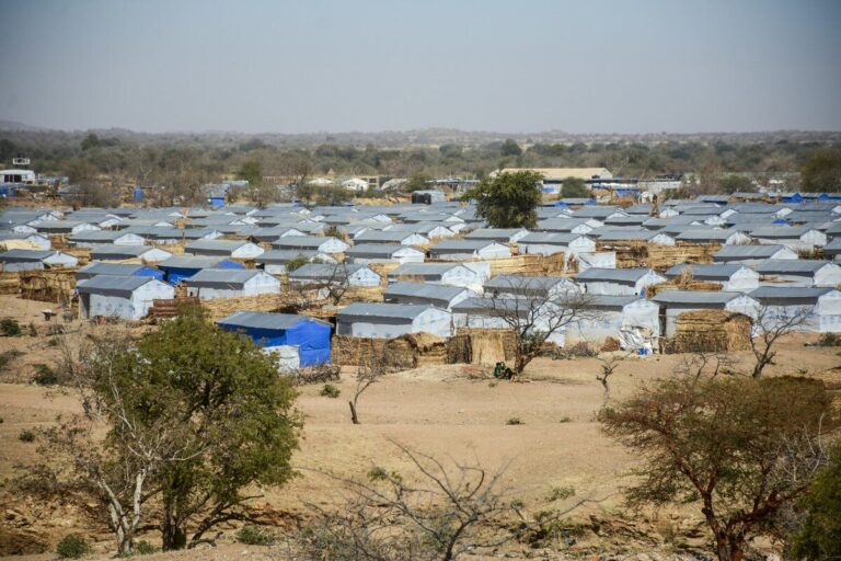 Chadian authorities Raid Alacha camp, arrest nine Sudanese refugees amid tensions over aid delays