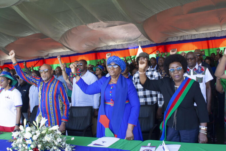 Namibia prepares for pivotal presidential and legislative elections