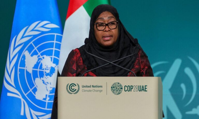 Tanzania urges COP29 to prioritize clean cooking as a climate mitigation strategy