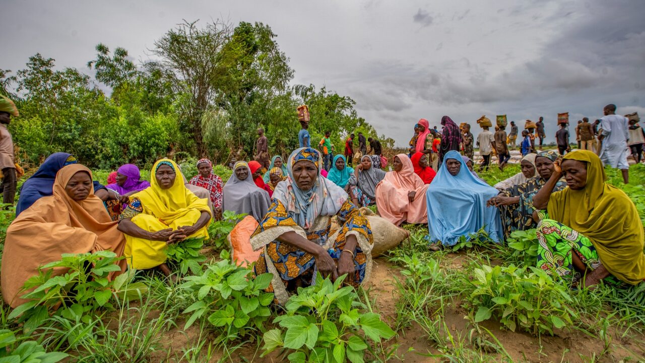 FAO highlights land security initiatives in west Africa amid food security challenges