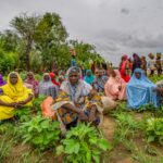 FAO highlights land security initiatives in west Africa amid food security challenges