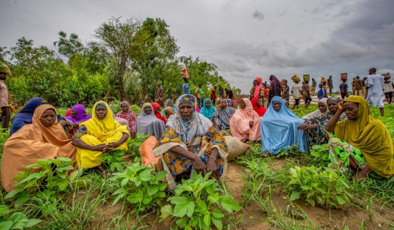 FAO highlights land security initiatives in west Africa amid food security challenges