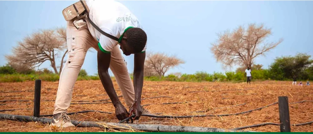 AfDB approves €74 million to boost women and youth entrepreneurship in Senegal