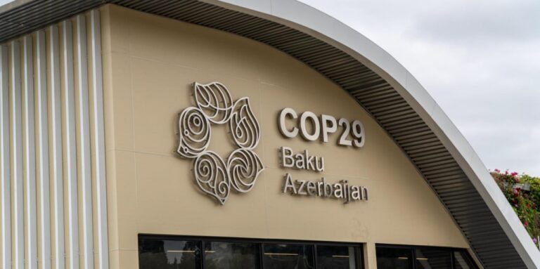 Africa's key demands for climate action as COP29 kicks off in Baku