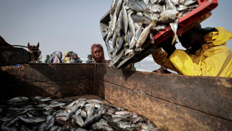 Senegal rejects EU’s claims on fishing agreement suspension, vows to protect local fishermen