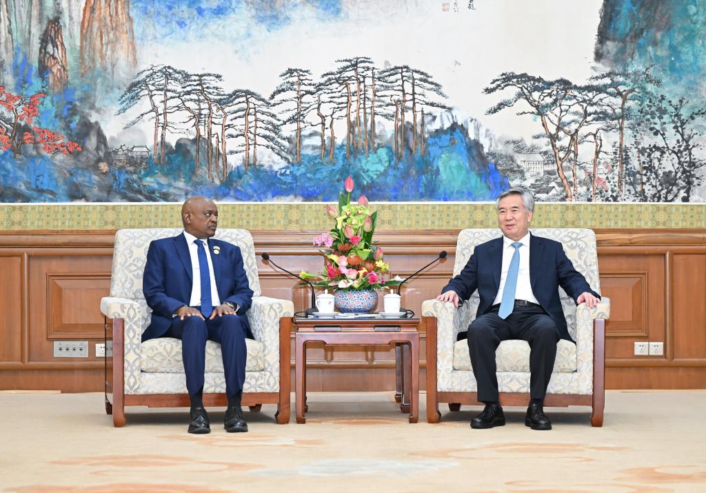 Botswana president meets senior Chinese official to strengthen bilateral relations