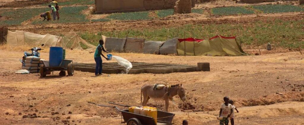 World bank deepens strategic partnership with Mali in push for sustainable development and regional resilience
