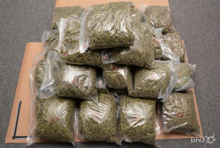 Cameroon customs intercepts record 47kg cannabis shipment in Ekok