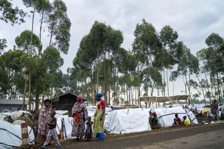 UN rights chief accuses M23 of atrocities in eastern DR Congo