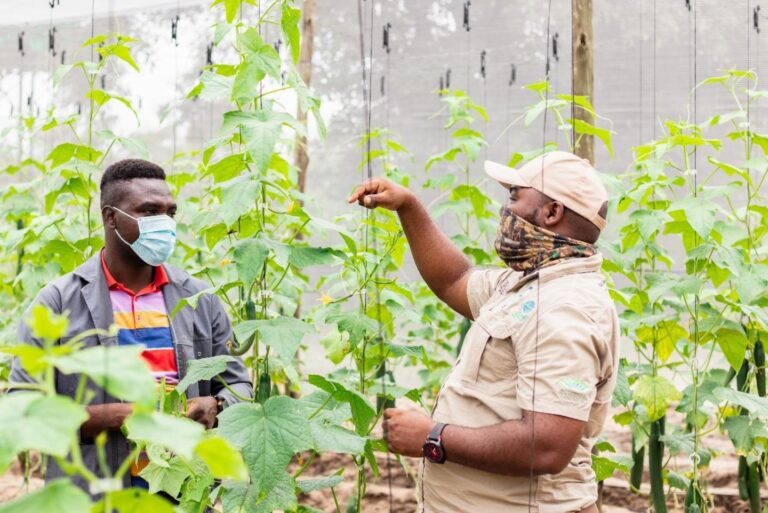 Botswana and Turkey join forces to boost climate-smart farming in Shakawe