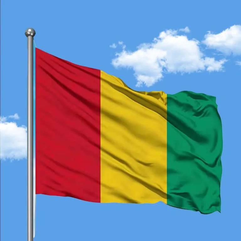 Guinea ratifies landmark social protection laws for migrant workers