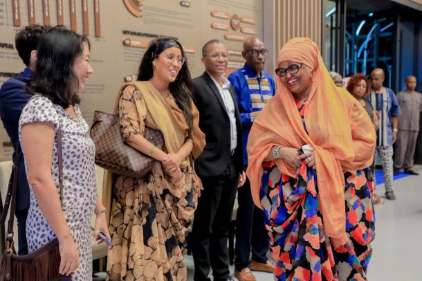 Djibouti secures seat on UNESCO cultural diversity committee, elevating African artistic voice on G global stage