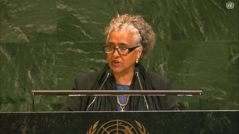 Eritrea urges UN to declare December 4 international day against unilateral coercive measures