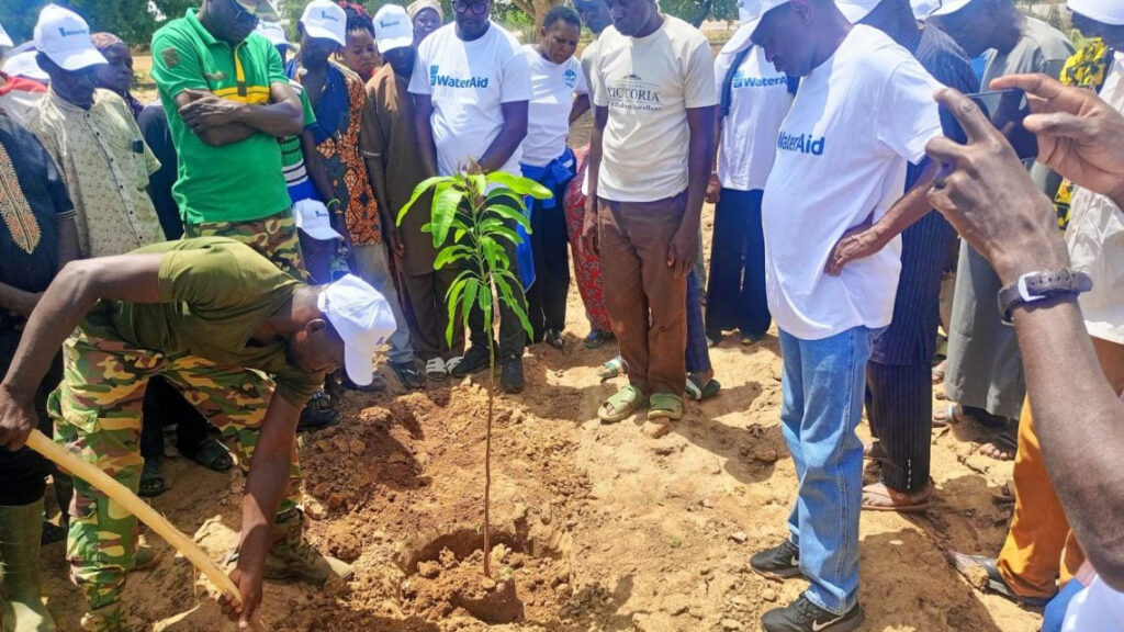 Ioba/Commune of Zambo: 570 trees planted on the site of the Djikologo cave
