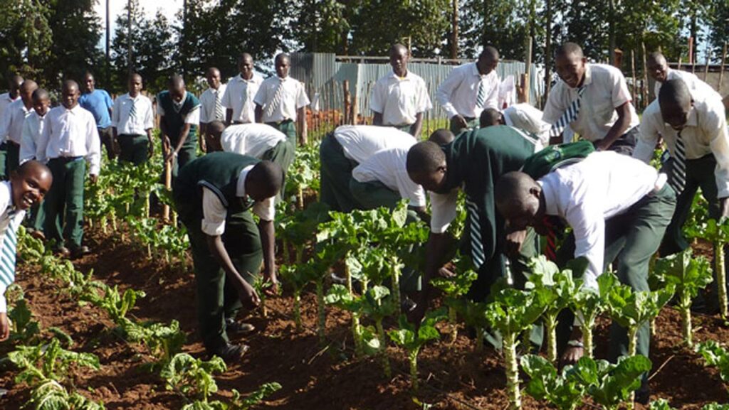 Cuanza-Norte students awarded scholarships to boost rural education and agriculture