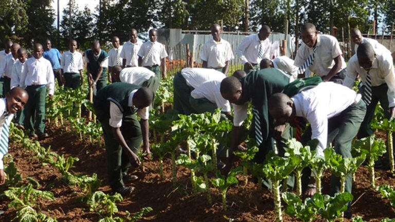 Cuanza-Norte students awarded scholarships to boost rural education and agriculture