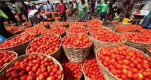 Niger’s market garden prices see sharp swings as tomatoes, potatoes surge while peppers plunge