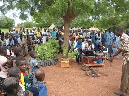 Burkina Faso’s defense ministry joins national reforestation push with 600 trees planted in one hour