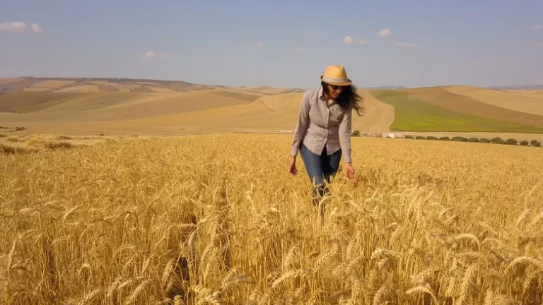 Maghreb’s agricultural future in jeopardy as water crisis halts key projects