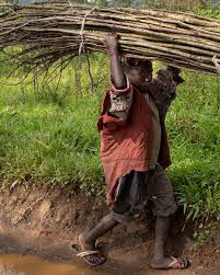 Angola’s hidden crisis: confronting the enduring scourge of child labour