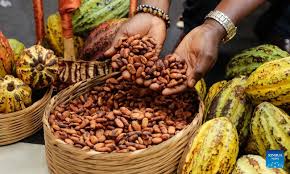 Cocoa and Jazz unite in Abidjan to promote peace and social cohesion