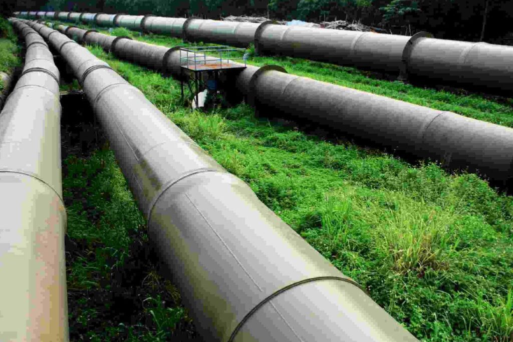 Algeria emerges as Europe’s second largest natural gas pipeline exporter in early 2025