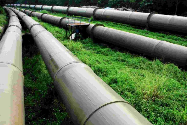 Algeria emerges as Europe’s second largest natural gas pipeline exporter in early 2025