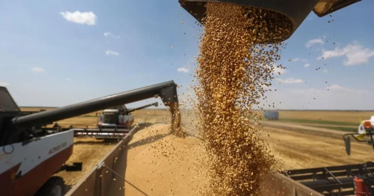 Surge in US food exports to Morocco highlights growing trade momentum