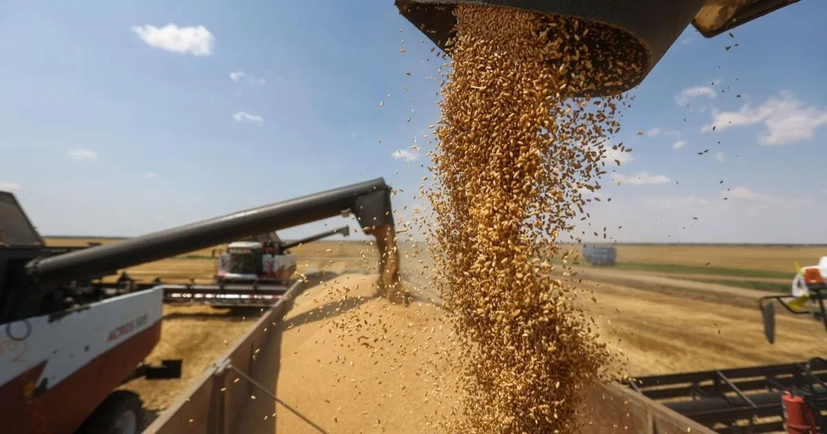 Surge in US food exports to Morocco highlights growing trade momentum