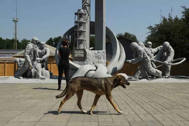 Switzerland issues rabies alert after tourist death in morocco