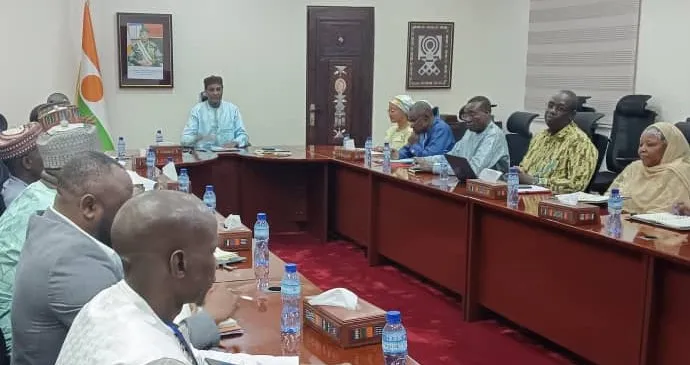 Niger forms special committee to restructure national electricity company nigelek