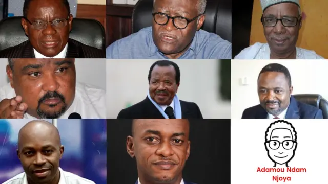 Cameroon: 81 shock candidates register for 2025 presidential election
