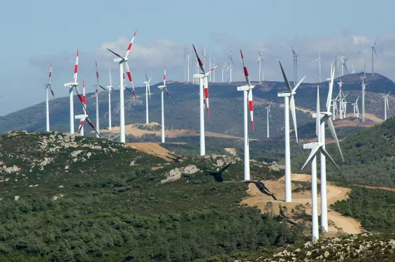  Morocco's rising influence, Algeria’s energy drive, tunisia’s reforms, and Egypt’s nationalist vision