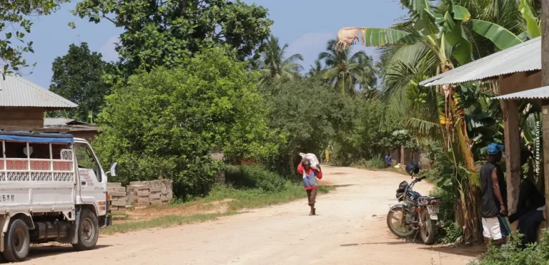 Benin village rocked by violent home invasion as armed gang steals over 15 million CFA