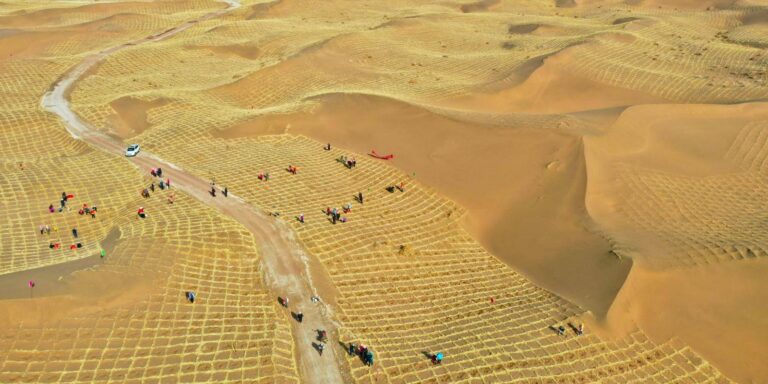 Egypt and Mexico deepen environmental ties in fight against desertification and climate threats