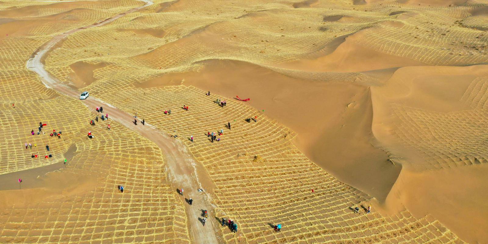 Egypt and Mexico deepen environmental ties in fight against desertification and climate threats