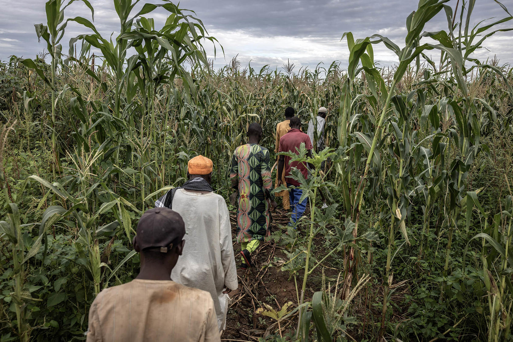 Niger: July 27 marks pivotal moments in security and agricultural progress across Africa