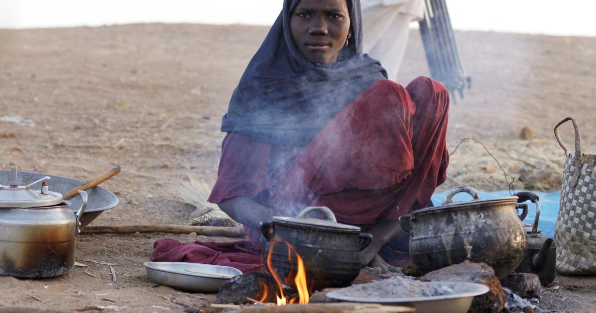 Sudan: Cholera outbreak deepens as mass displacement overwhelms aid efforts in Tawila