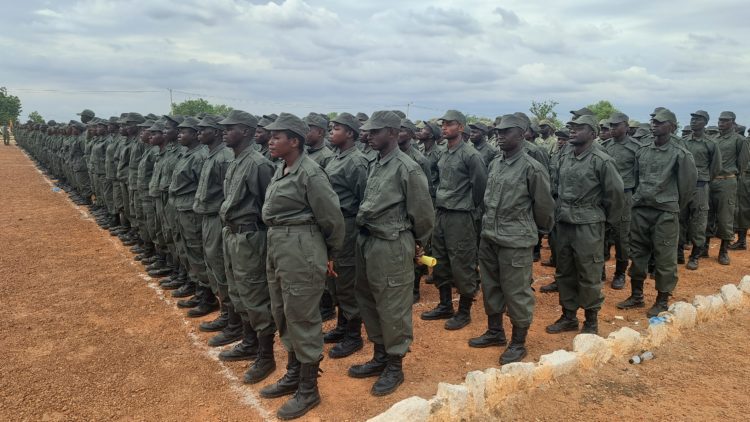 Burkina Faso’s youth-led green revolution takes root in Badnogo