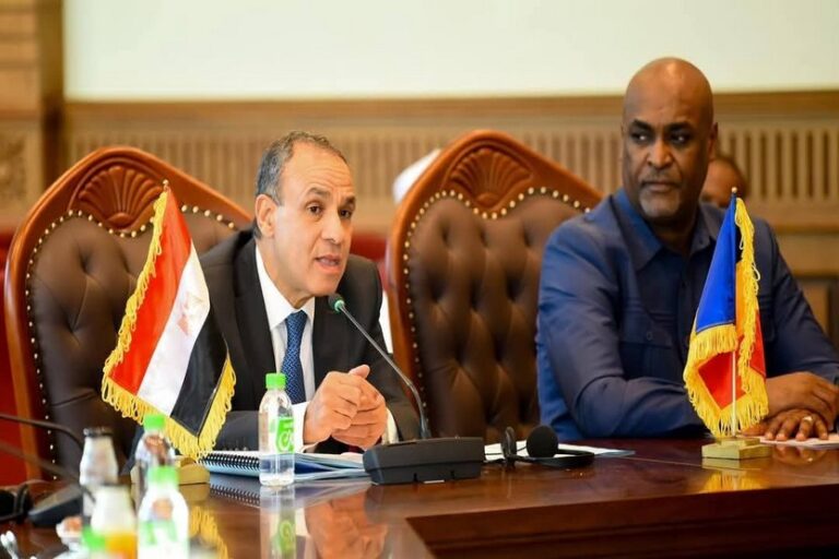 Chad welcomes Egyptian foreign minister in strategic transit meeting
