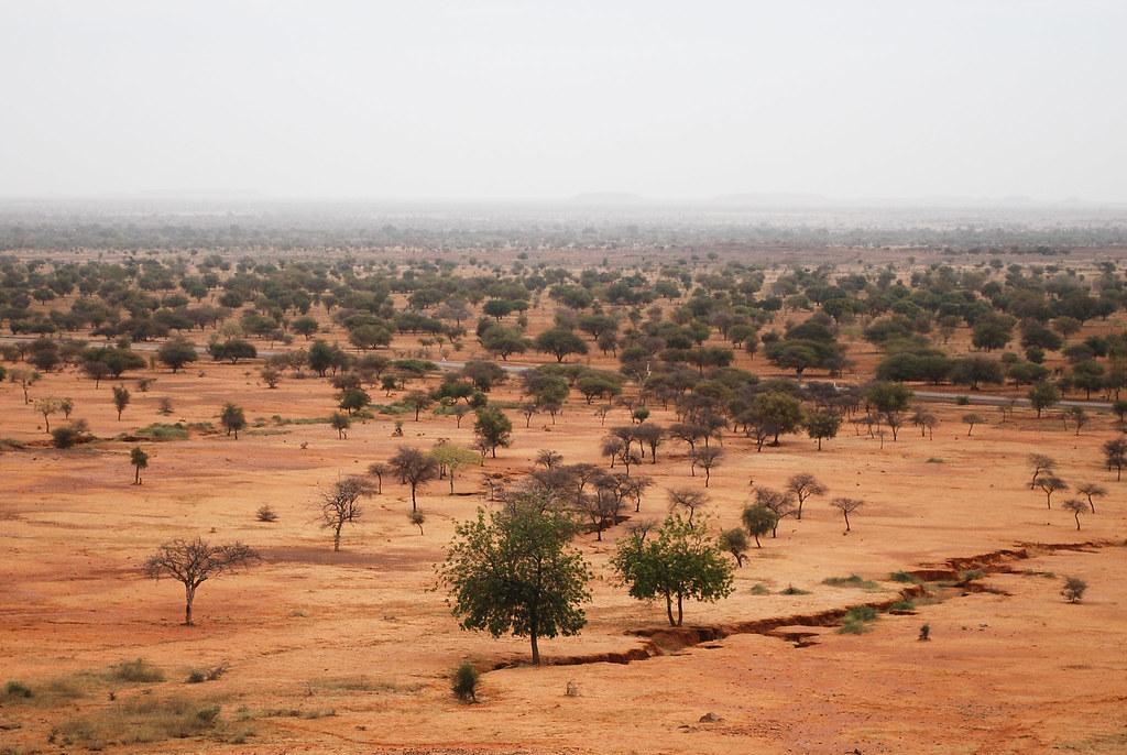 Mauritania: Chad and Mauritania unveil landmark regional education project to drive innovation in the Sahel