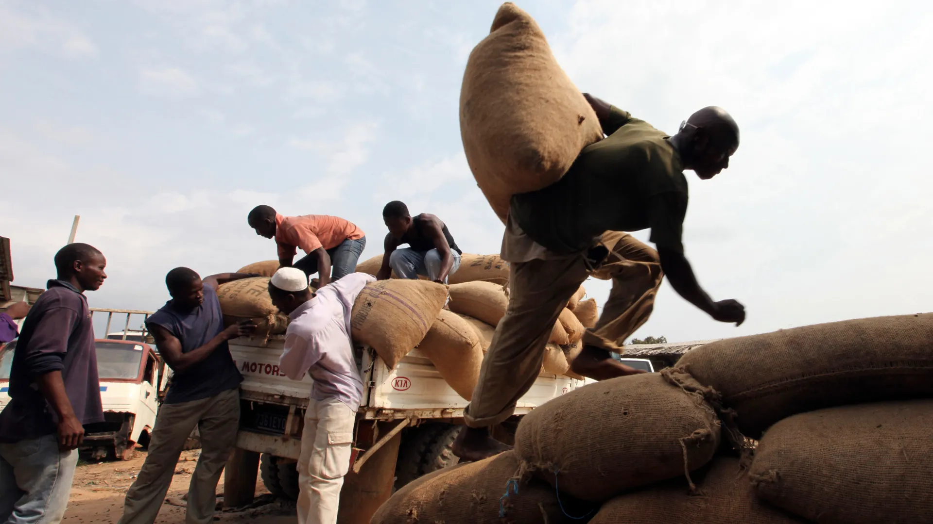 Ivory Coast police arrest suspected drug trafficker in grand lahou with large drug haul