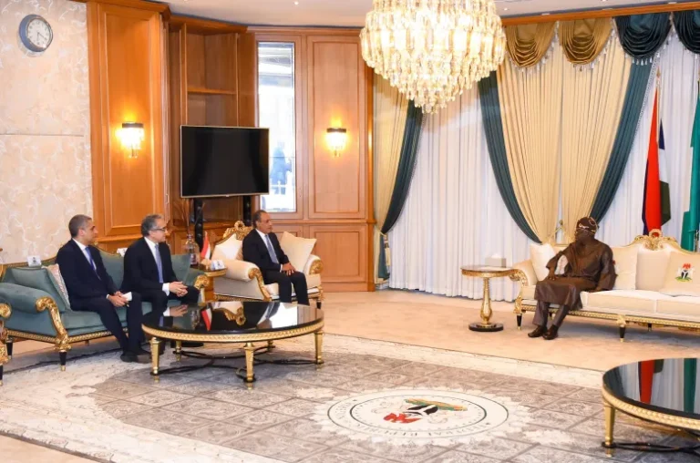 Egypt delivers message from president el-Sisi to Nigerian leader in push for stronger continental ties