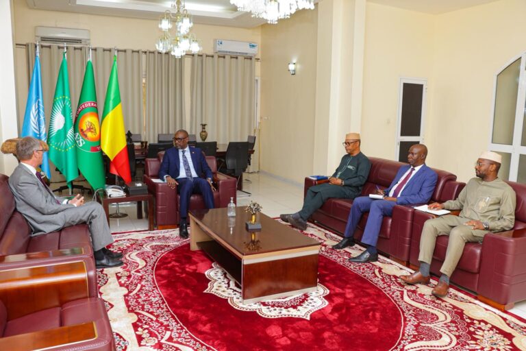 Mali bids farewell to EU envoy as nation recalibrates foreign partnerships