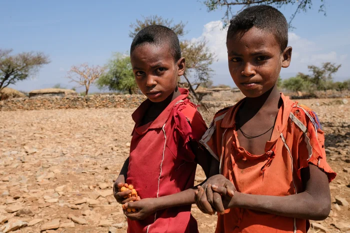 Ethiopia: Addis Ababa Summit Delivers Big Promises but Fails to Break Cycle of Inaction